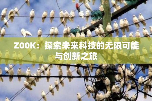 Z00K：探索未来科技的无限可能与创新之旅