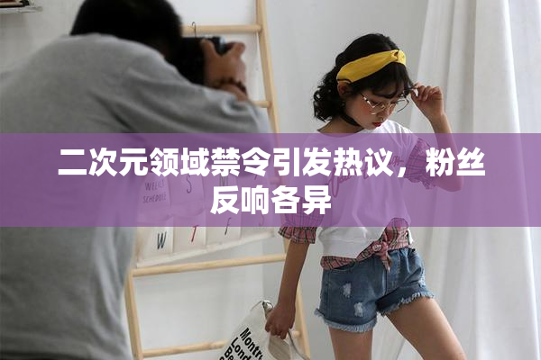 二次元领域禁令引发热议，粉丝反响各异