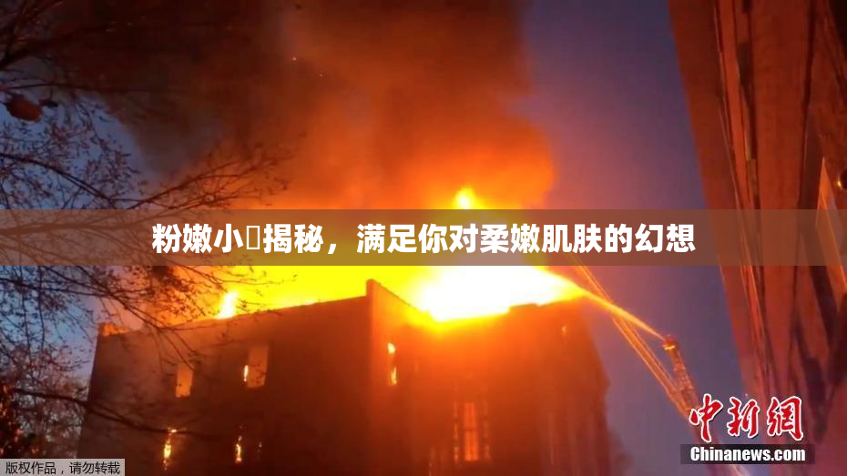 粉嫩小泬揭秘，满足你对柔嫩肌肤的幻想