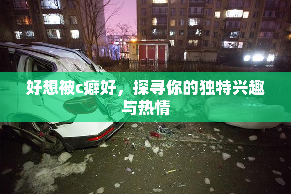 好想被c癖好，探寻你的独特兴趣与热情