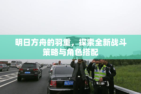 明日方舟的羽重，探索全新战斗策略与角色搭配