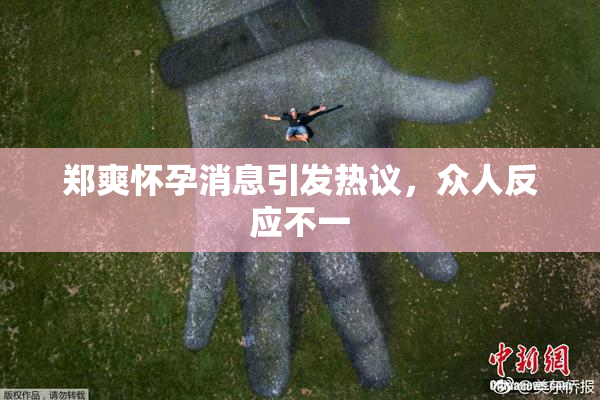 郑爽怀孕消息引发热议，众人反应不一