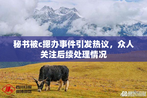 秘书被c摁办事件引发热议，众人关注后续处理情况