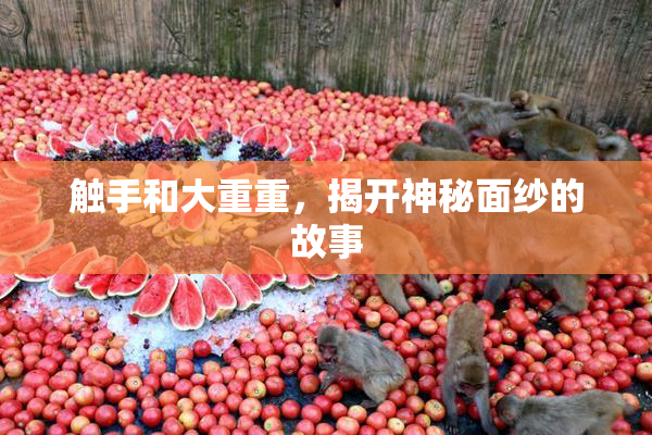 触手和大重重，揭开神秘面纱的故事