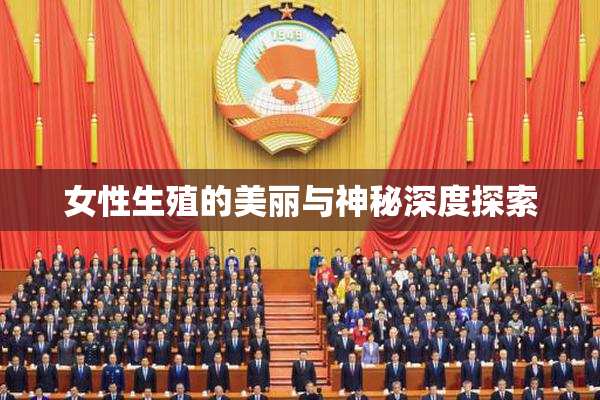 女性生殖的美丽与神秘深度探索