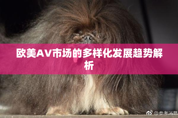 欧美AV市场的多样化发展趋势解析