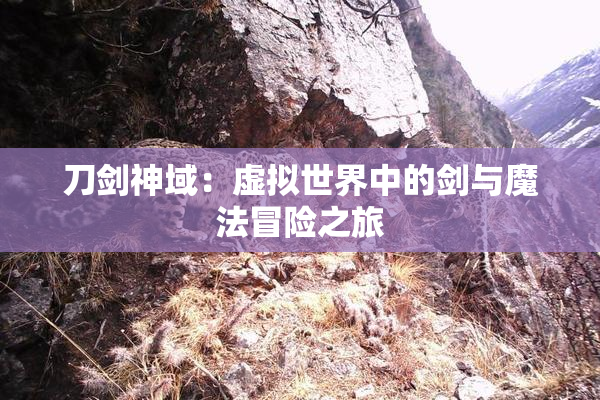 刀剑神域：虚拟世界中的剑与魔法冒险之旅