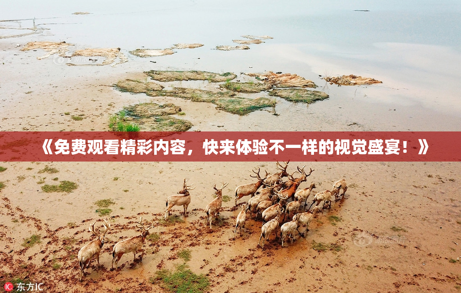 《免费观看精彩内容，快来体验不一样的视觉盛宴！》