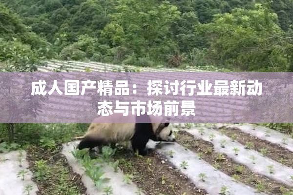 成人国产精品：探讨行业最新动态与市场前景