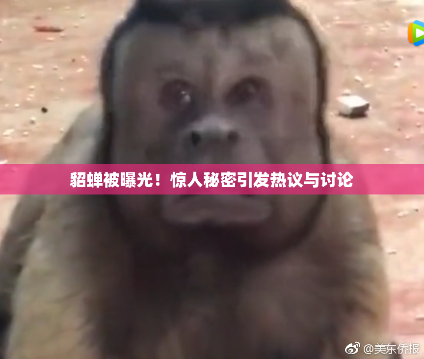 貂蝉被曝光！惊人秘密引发热议与讨论