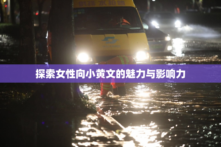 探索女性向小黄文的魅力与影响力