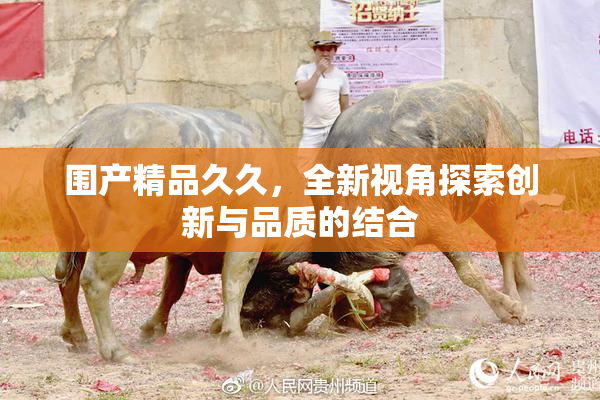 围产精品久久，全新视角探索创新与品质的结合