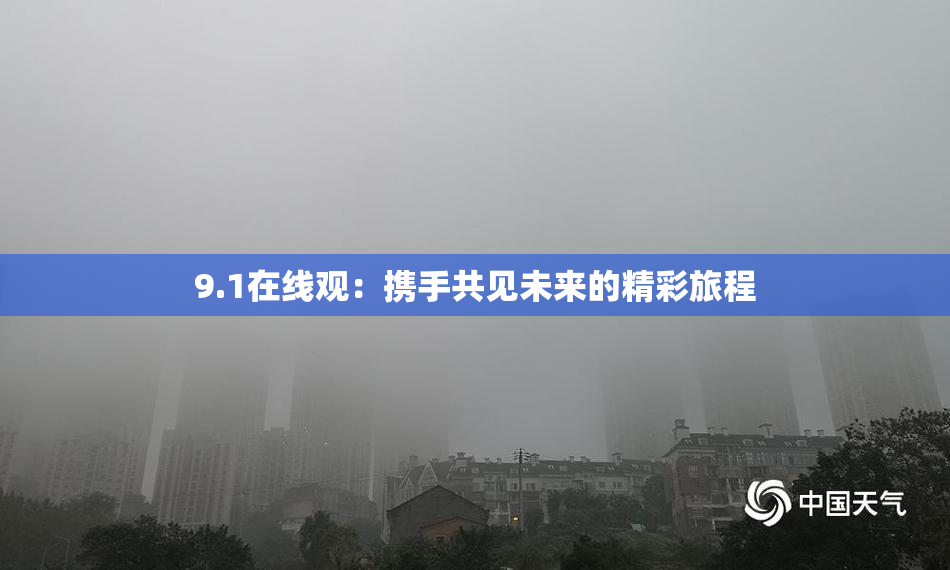 9.1在线观：携手共见未来的精彩旅程