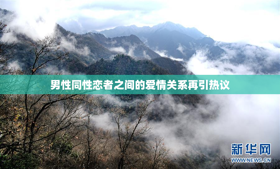 男性同性恋者之间的爱情关系再引热议