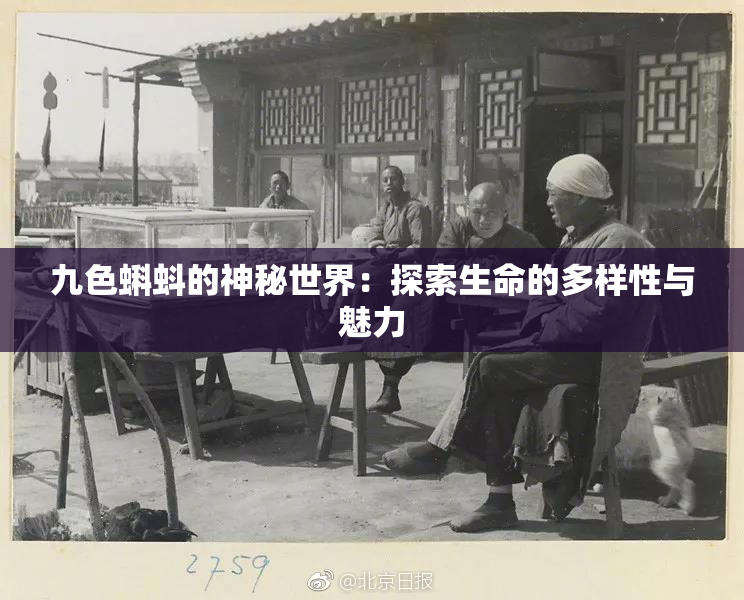 九色蝌蚪的神秘世界：探索生命的多样性与魅力