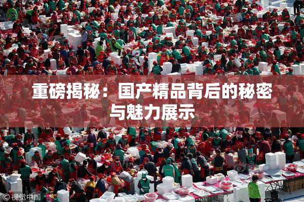 重磅揭秘：国产精品背后的秘密与魅力展示