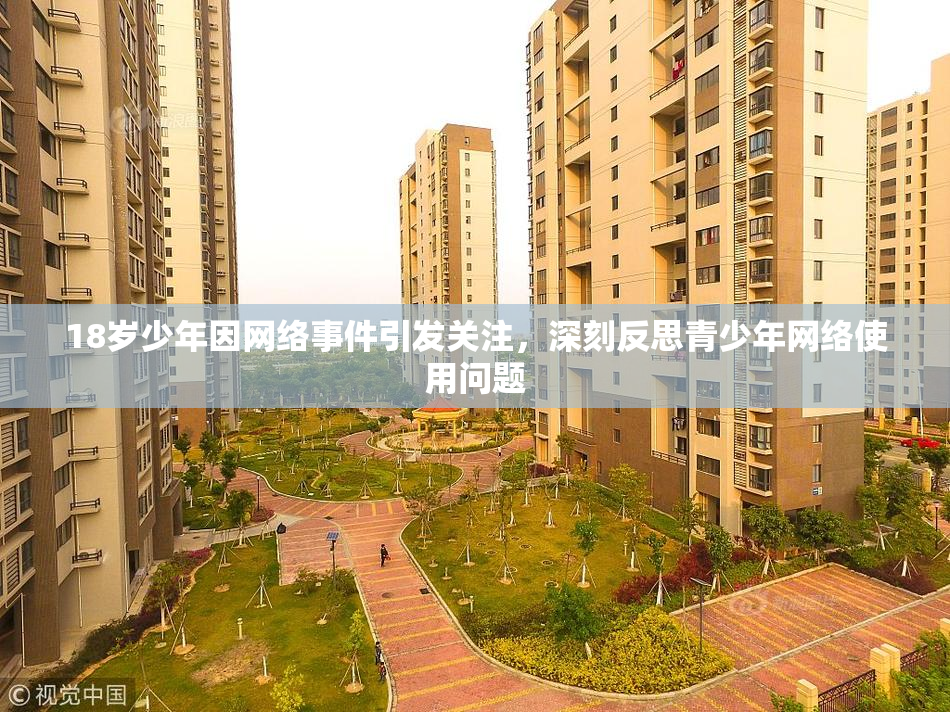 18岁少年因网络事件引发关注，深刻反思青少年网络使用问题