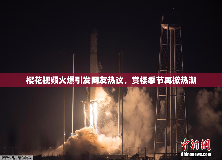 樱花视频火爆引发网友热议，赏樱季节再掀热潮