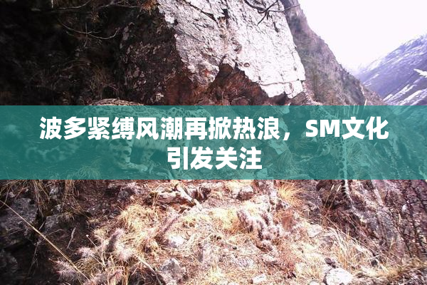 波多紧缚风潮再掀热浪，SM文化引发关注