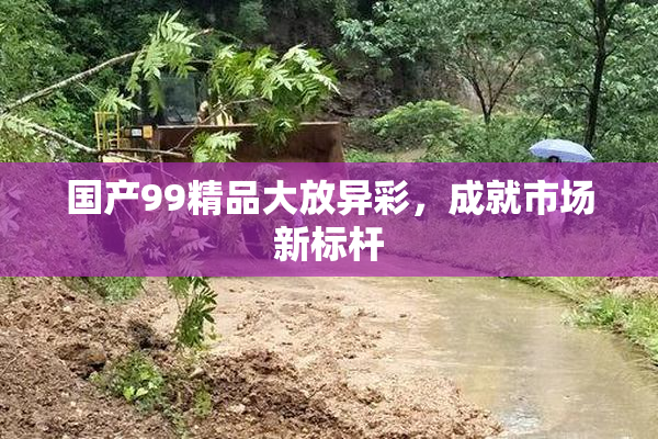 国产99精品大放异彩，成就市场新标杆