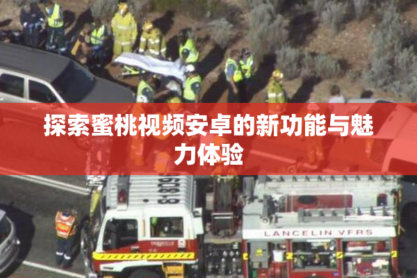 探索蜜桃视频安卓的新功能与魅力体验