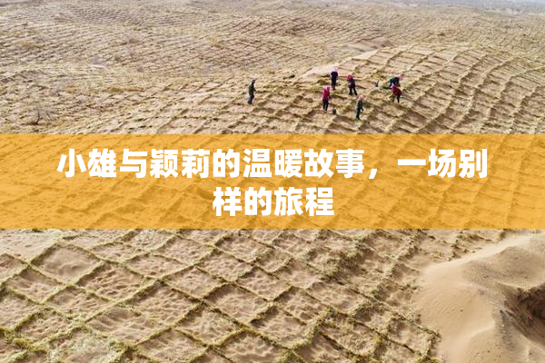 小雄与颖莉的温暖故事，一场别样的旅程