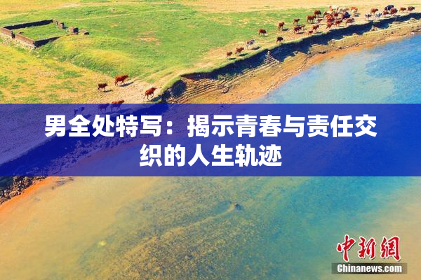 男全处特写：揭示青春与责任交织的人生轨迹