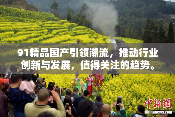 91精品国产引领潮流，推动行业创新与发展，值得关注的趋势。