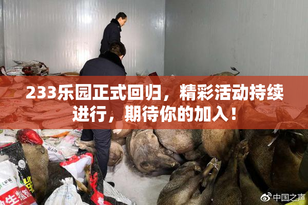 233乐园正式回归，精彩活动持续进行，期待你的加入！