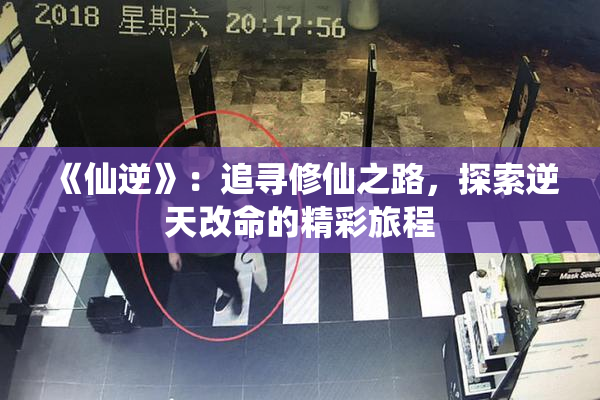 《仙逆》：追寻修仙之路，探索逆天改命的精彩旅程