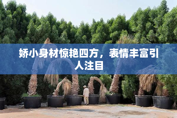 娇小身材惊艳四方，表情丰富引人注目