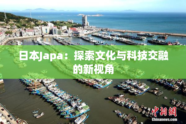 日本Japa：探索文化与科技交融的新视角