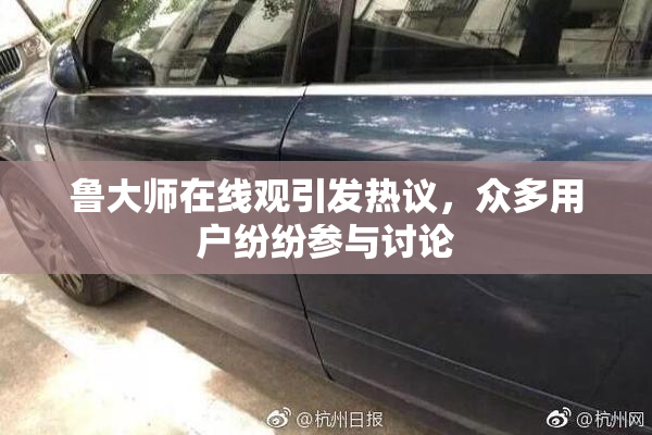 鲁大师在线观引发热议，众多用户纷纷参与讨论