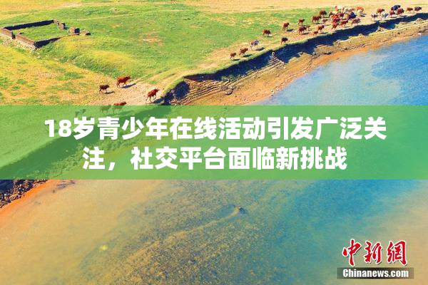 18岁青少年在线活动引发广泛关注，社交平台面临新挑战