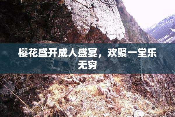 樱花盛开成人盛宴，欢聚一堂乐无穷