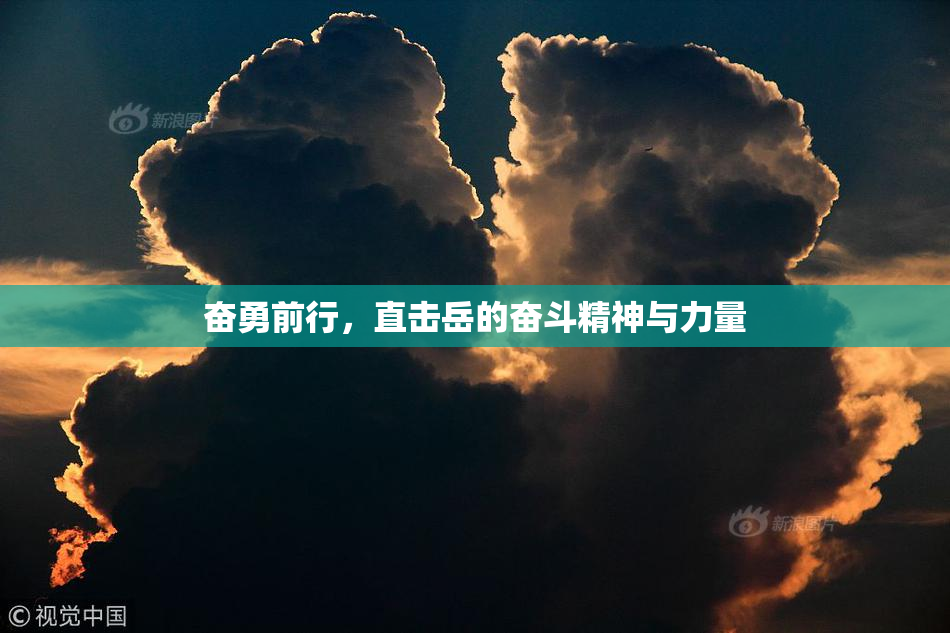 奋勇前行，直击岳的奋斗精神与力量