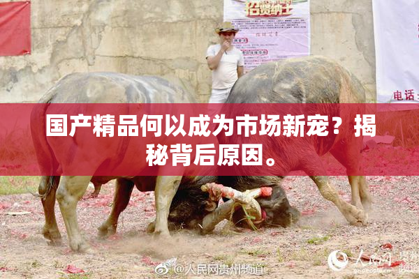 国产精品何以成为市场新宠？揭秘背后原因。