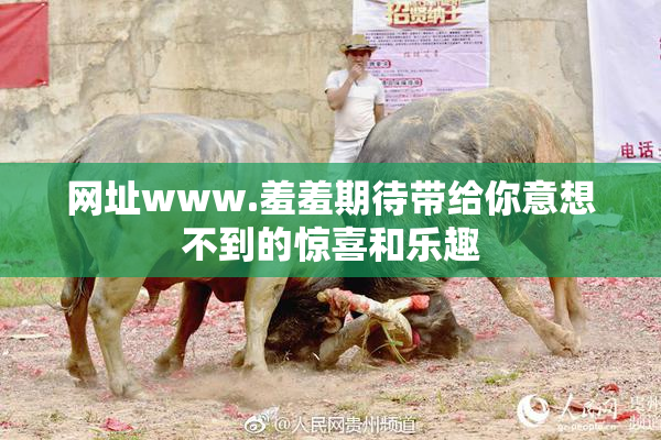 网址www.羞羞期待带给你意想不到的惊喜和乐趣