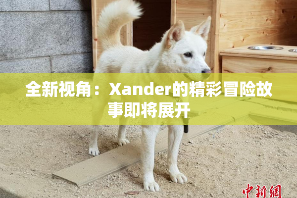 全新视角：Xander的精彩冒险故事即将展开