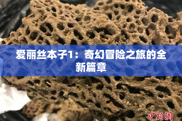 爱丽丝本子1：奇幻冒险之旅的全新篇章