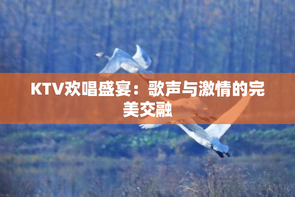 KTV欢唱盛宴：歌声与激情的完美交融