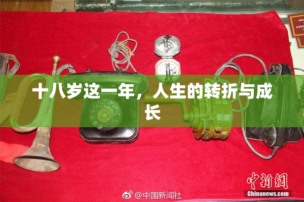 十八岁这一年，人生的转折与成长