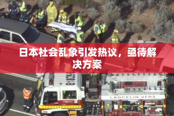 日本社会乱象引发热议，亟待解决方案
