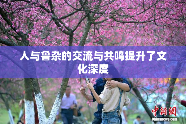 人与鲁杂的交流与共鸣提升了文化深度