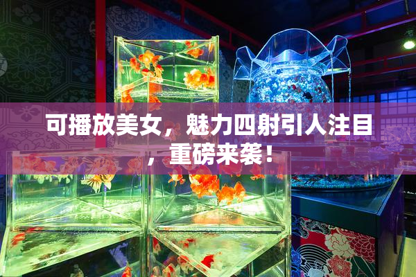 可播放美女，魅力四射引人注目，重磅来袭！