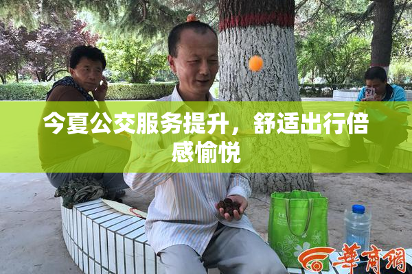 今夏公交服务提升，舒适出行倍感愉悦