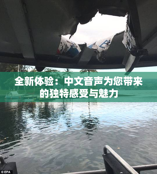 全新体验：中文音声为您带来的独特感受与魅力