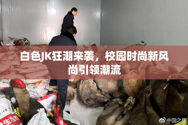 白色JK狂潮来袭，校园时尚新风尚引领潮流