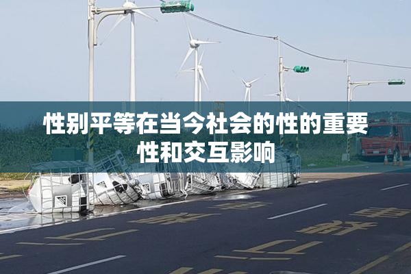 性别平等在当今社会的性的重要性和交互影响
