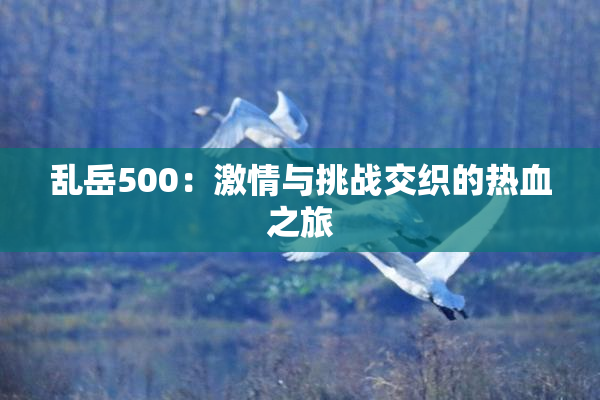 乱岳500：激情与挑战交织的热血之旅